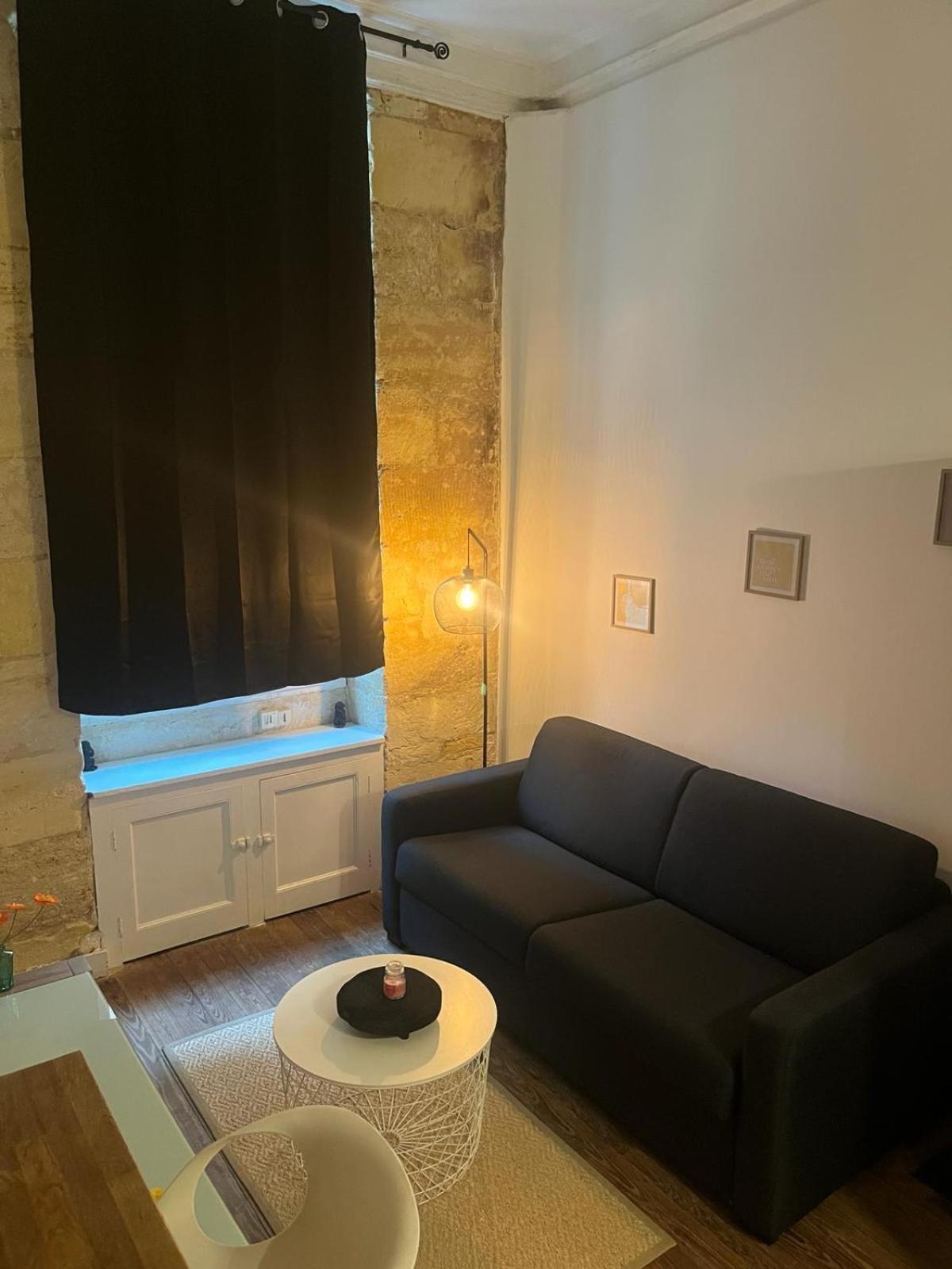 Bel Appartement Avec Mezzanine En Plein Centre De Бордо Экстерьер фото