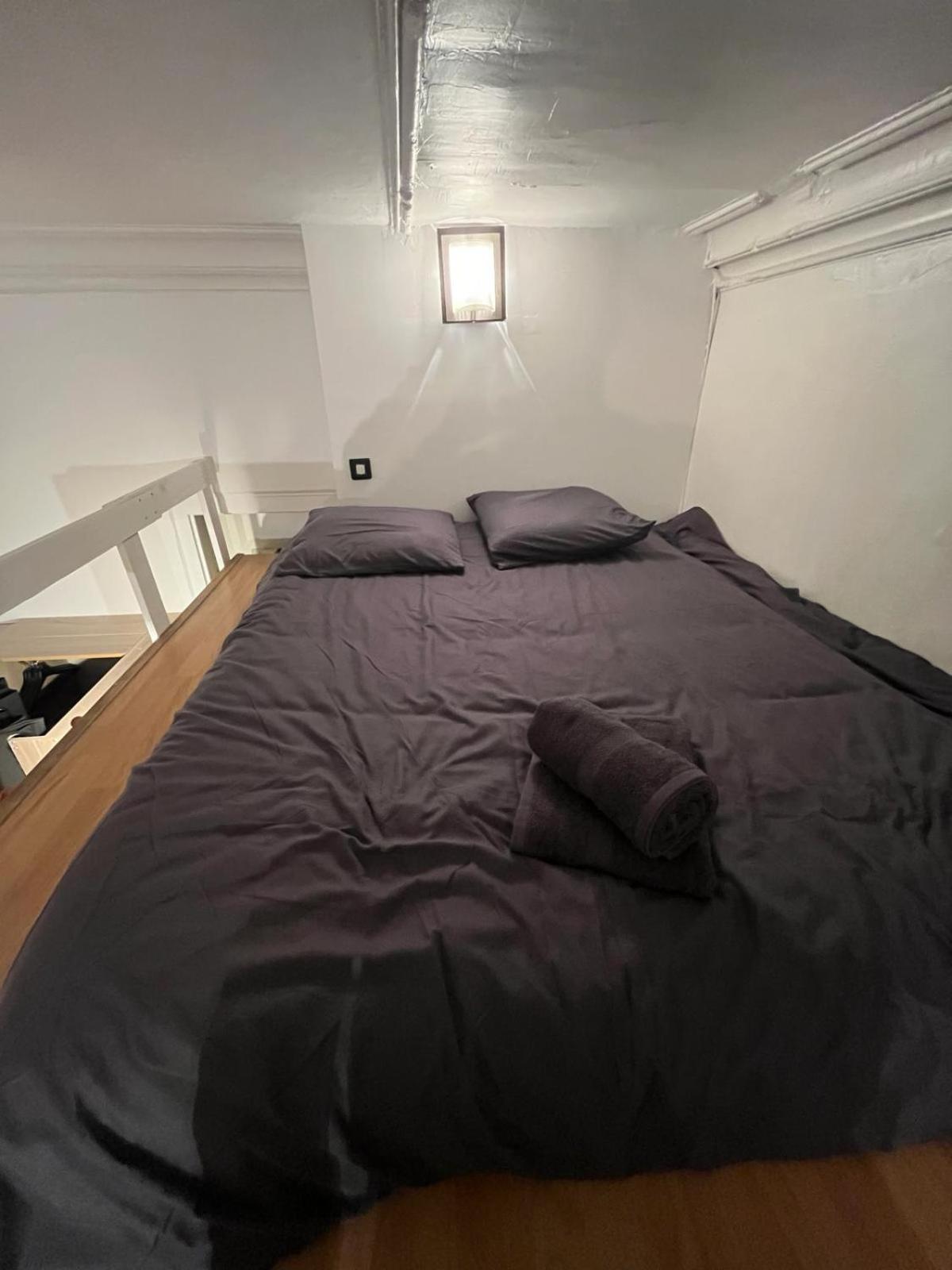 Bel Appartement Avec Mezzanine En Plein Centre De Бордо Экстерьер фото